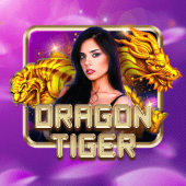 Dragon Tiger live casino on jilitt 2026